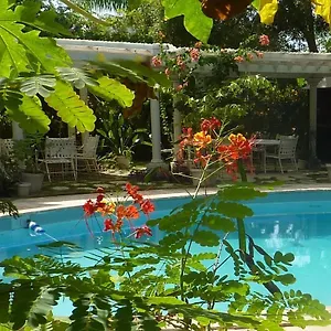 Orchard Garden Motel Nassau